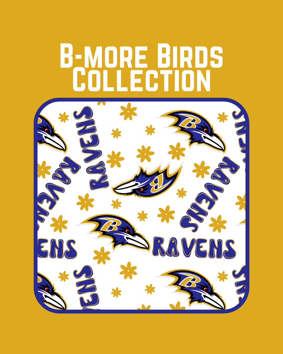 Baltimore football team