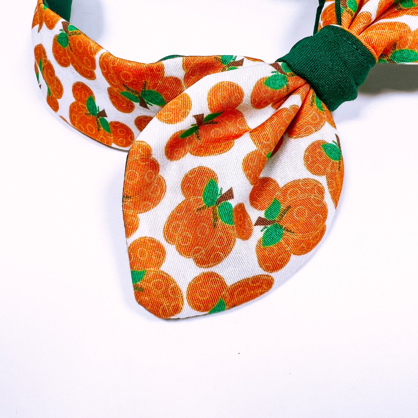 Mickey's Pumpkin Patch Bowband
