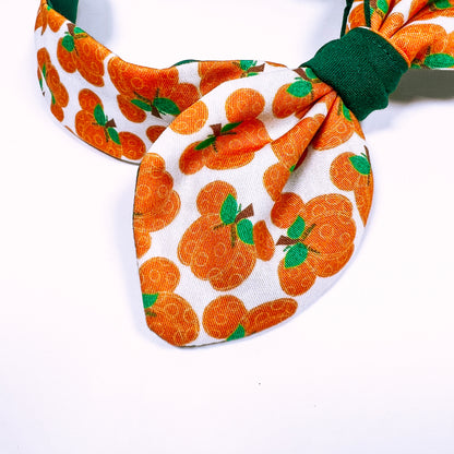 Mickey's Pumpkin Patch Bowband